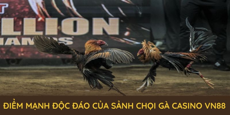 Khám phá những điểm mạnh độc đáo của sảnh chọi gà casino VN88 Khám phá những điểm mạnh độc đáo của sảnh chọi gà casino VN88